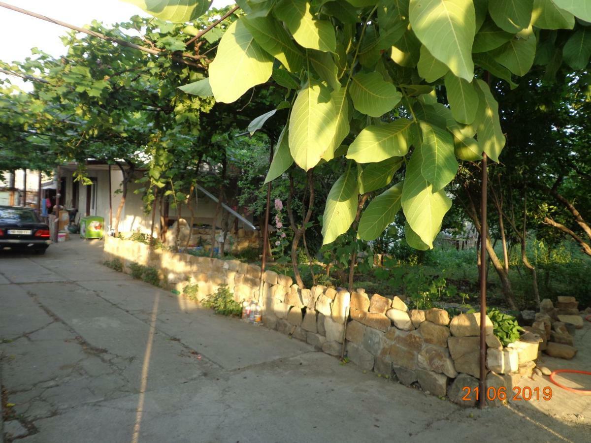 My Home Udabno المظهر الخارجي الصورة