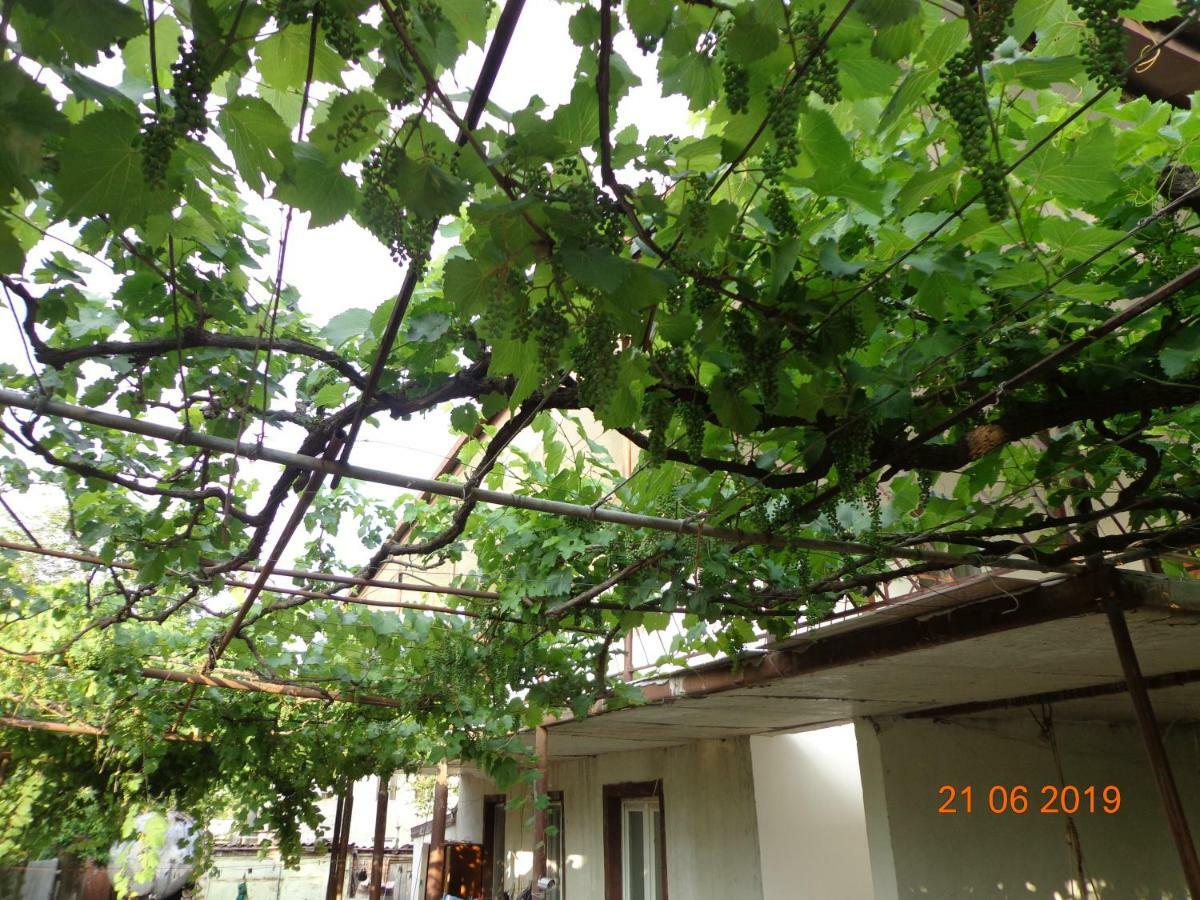 My Home Udabno المظهر الخارجي الصورة